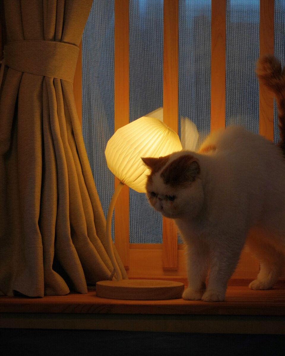 レクリント　猫