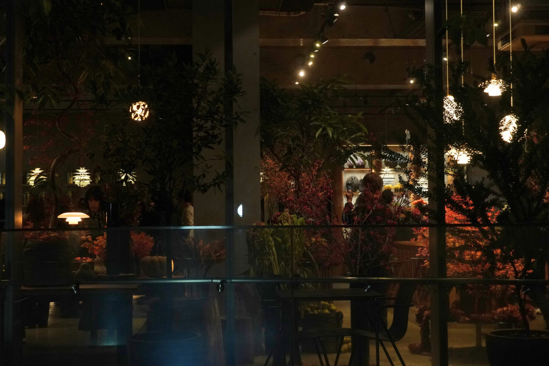 ニコライ・バーグマン