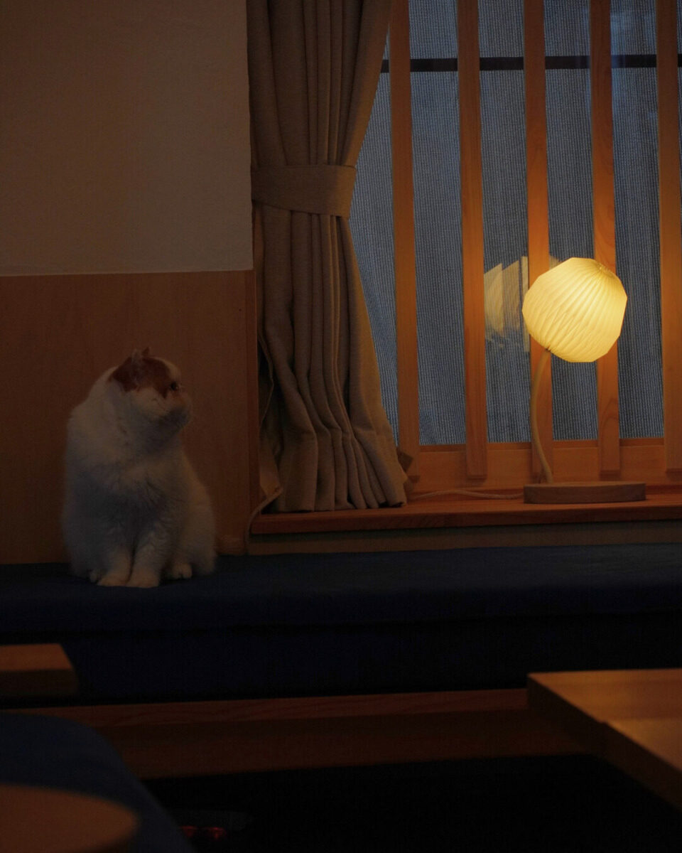 長野県　レクリント