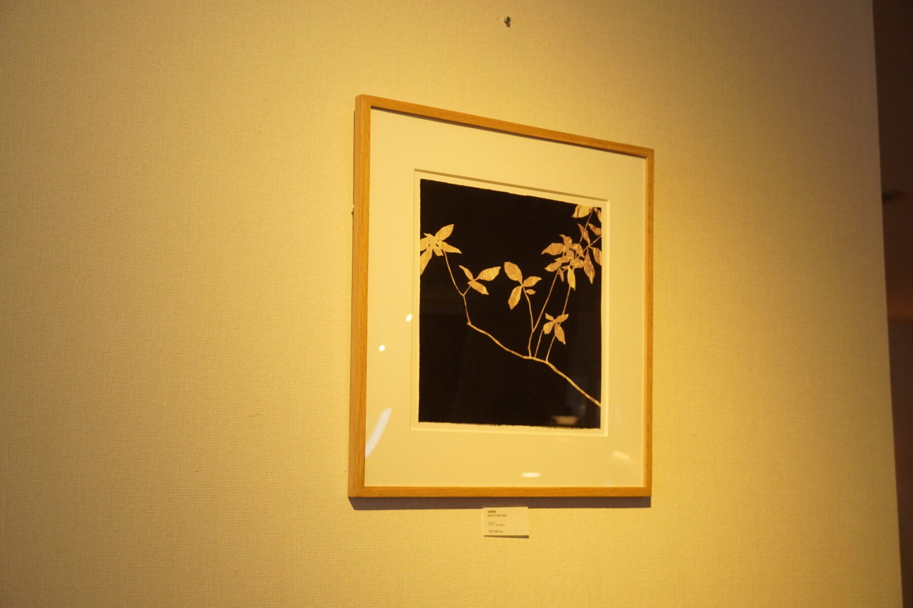 長野県　インテリア