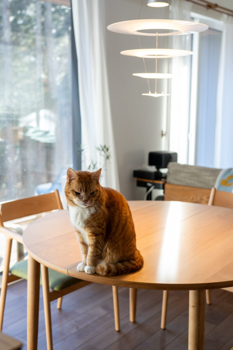 ルイスポールセン エニグマ425 円形テーブル上のペンダント照明